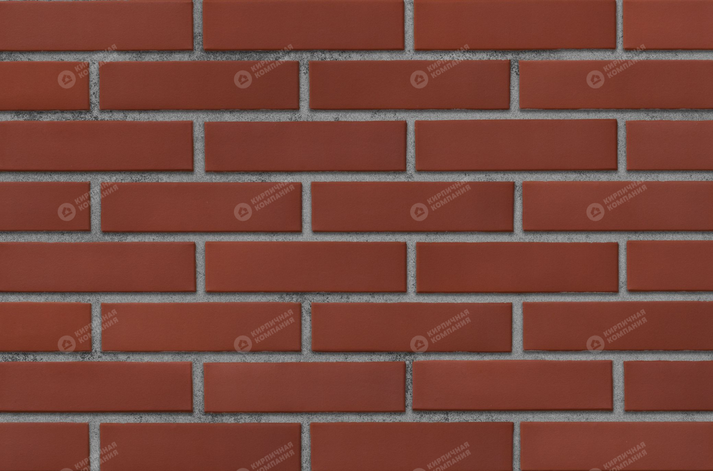 КРАСНЫЙ 1НФ пустотелый