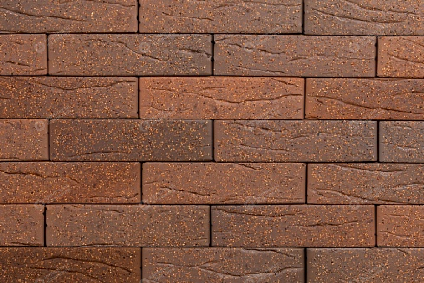 ТАЙГА БОРУС КОРА ДУБА 1НФ пустотелый