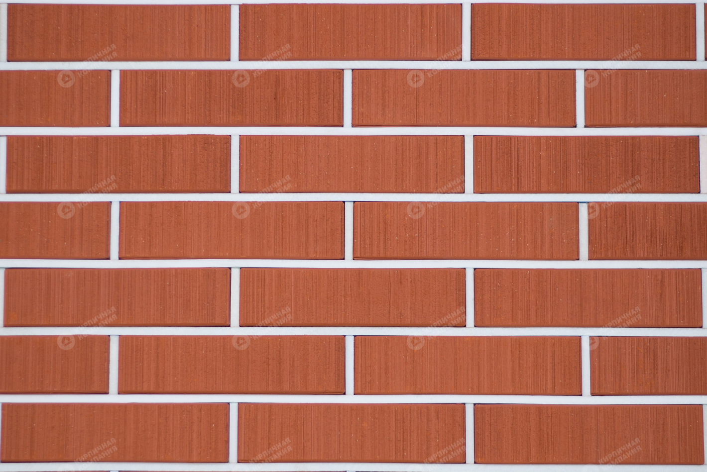 КРАСНЫЙ БАРХАТ 1НФ пустотелый