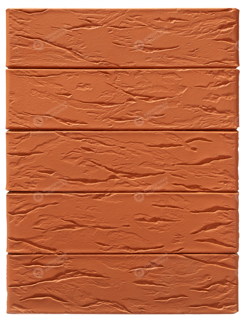 Красный РУСТИК 1НФ пустотелый