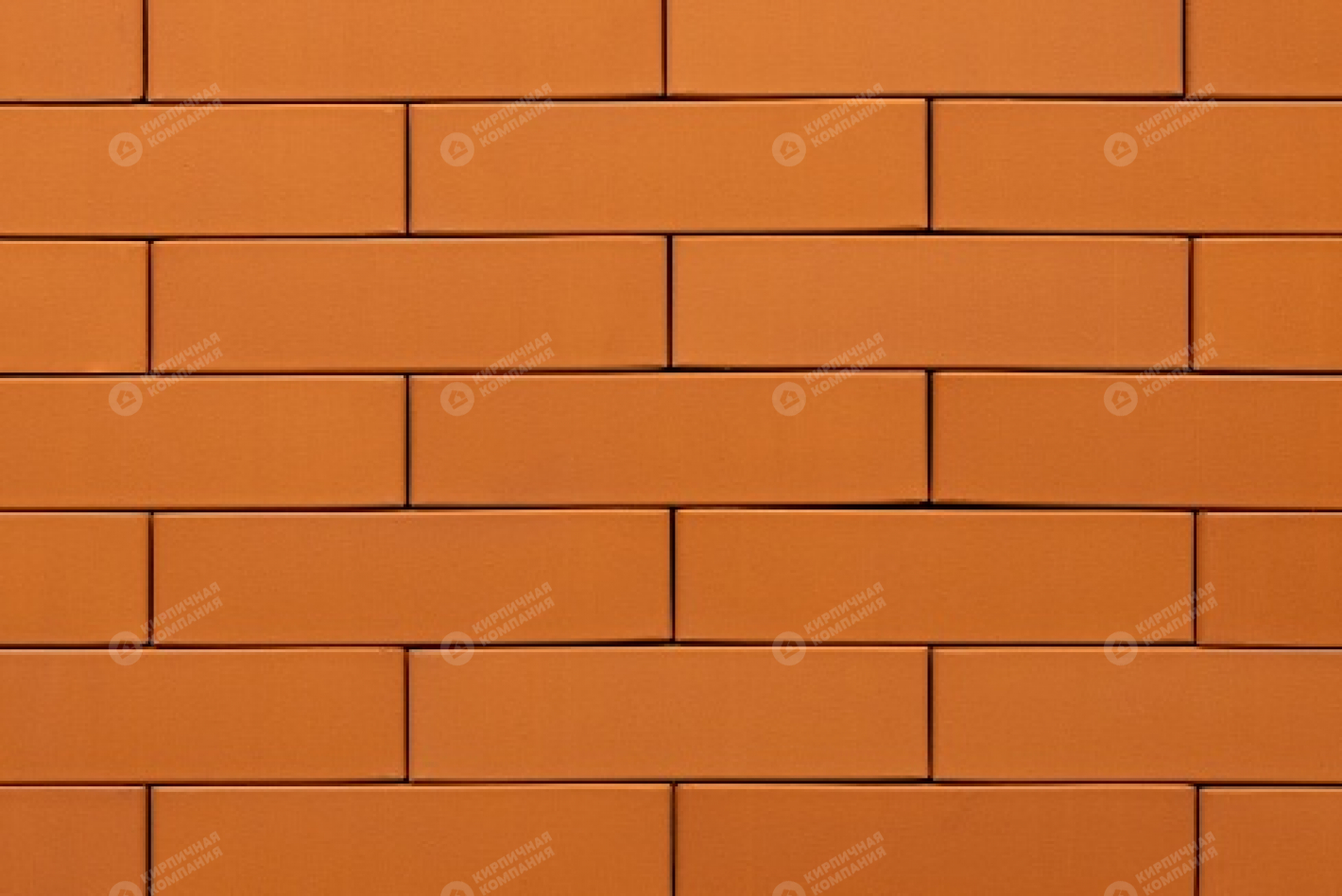 ПЕРСИК ГЛАДКИЙ 1НФ пустотелый