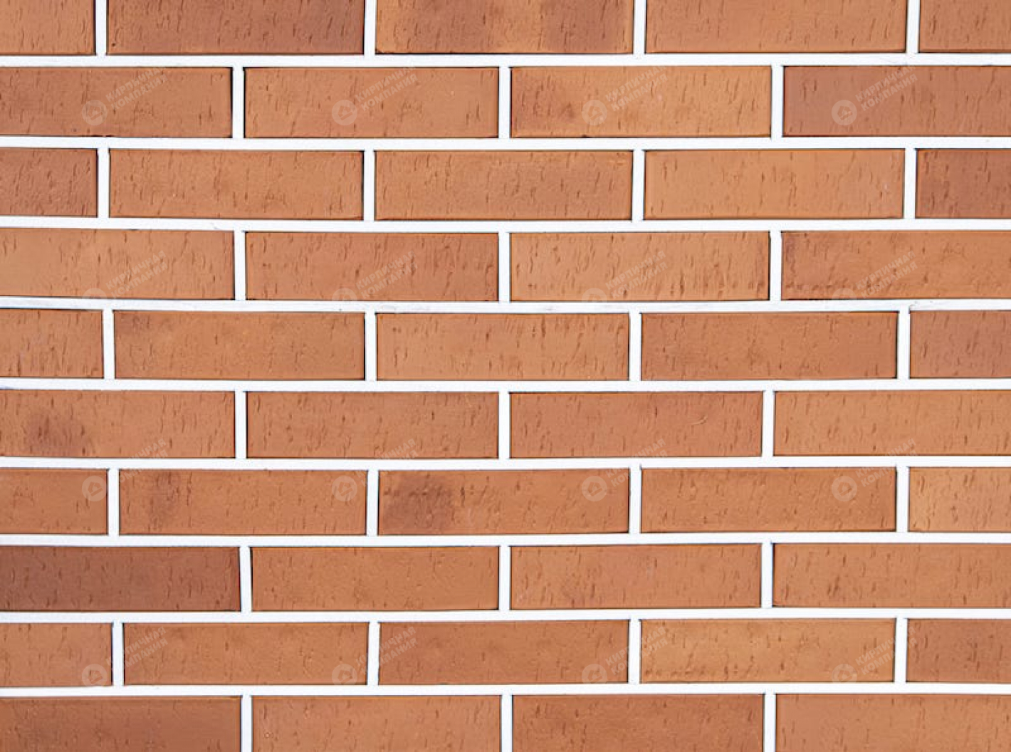 КРАСНЫЙ РИФ 0,5НФ пустотелый